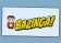 Bazinga - The Big Bang Theory 