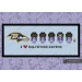 Baltimore Ravens american football team